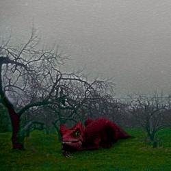 Dragons (Dub Plate Edition)