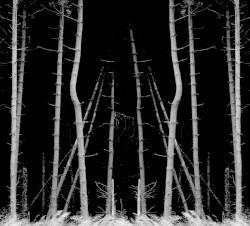 The Heavens in Traction