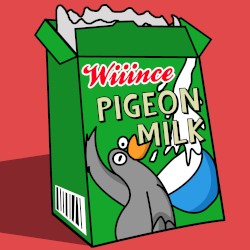 Pigeon Milk
