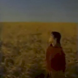 一緒に水平線を見つめます / 太陽と共に流れる