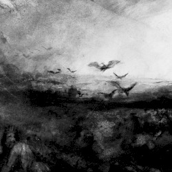 Nightingales