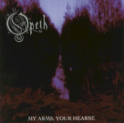 My Arms, Your Hearse