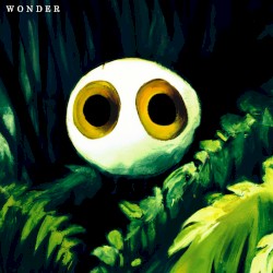 Wonder