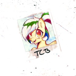 CONGRATS, YOU WERE TOO LATE: A 10 YEAR RETROSPECTIVE