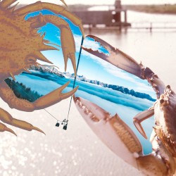 厳かに命をつなぐひとたち