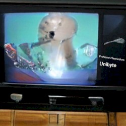 Unibyte