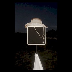 Overstaying and Briefly Oversharing