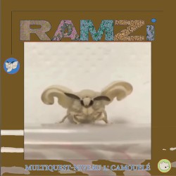 Multiquest Niveau 1: Camouflé