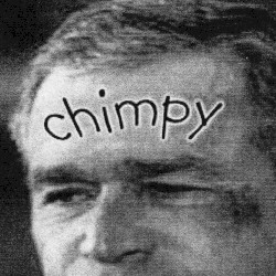Chimpy