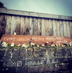 Devil Inside the Albion Rooms