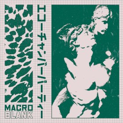 エコーチャンバーパーティー