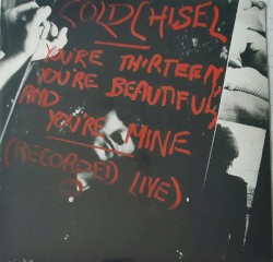 You’re Thirteen, You’re Beautiful, and You’re Mine (Collector’s Edition)