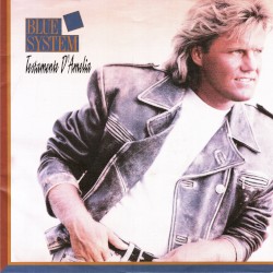 Testamente D’Amelia