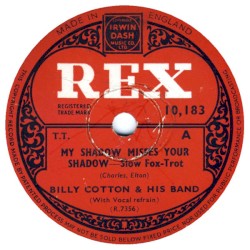 My Shadow Misses Your Shadow / Best Wishes