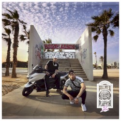 Palmen aus Plastik 2