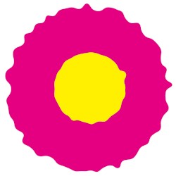 サザンカ