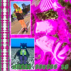 human bodies 13