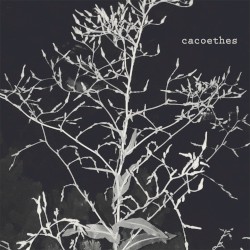 cacoethes