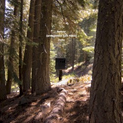 Forever (Armageddon Turk remix)