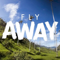 Fly Away