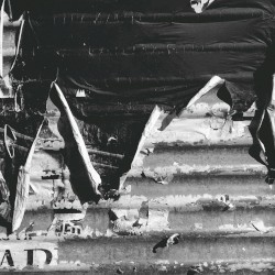 Buy Batteries and Shelter Pets