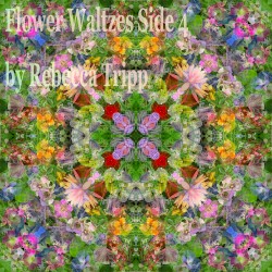 Flower Waltzes (Side 4)