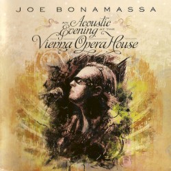 An Acoustic Evening at the Vienna Opera House