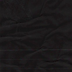 girl will never sing again