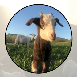 Moonlit Missive #91: 'Of Dream and Stone'