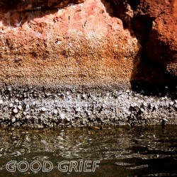 Good Grief