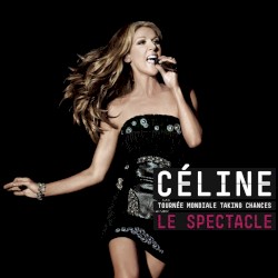 Taking Chances World Tour: The Concert