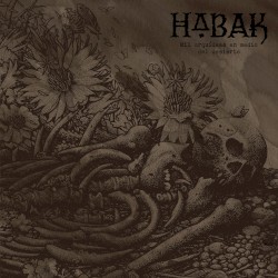 Mil orquídeas en medio del desierto