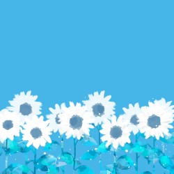 何時かの夏、君は綺麗だった。