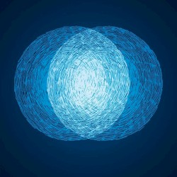 A Night With Sono + Rotersand