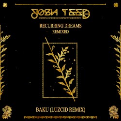 Baku (LUZCID remix)