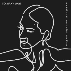 So Many Ways (Penguin Prison remix)