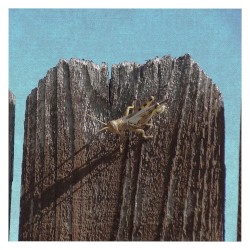 Thank God, Me a Superstar, Trapped in This Fucking Hellhole