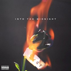 Into The Midnight
