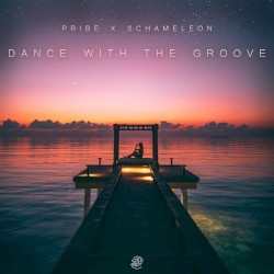 Dance With the Groove