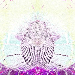 ███ɯ̸ǝ̷ɥ̸ʇ̸ ɯ̸o̸ɹ̷ɟ̸███free yourself███