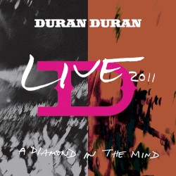 Live 2011: A Diamond in the Mind
