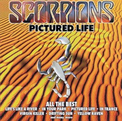 Pictured Life: All the Best