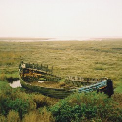 Of the Sea and Shore