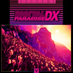 Digital Paradise DX