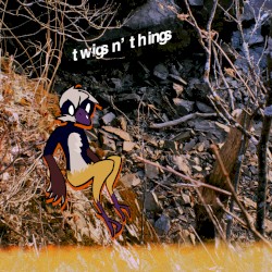 twigs n' things