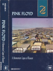 A Momentary Lapse of Reason