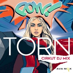 Torn (Cirkut DJ mix)