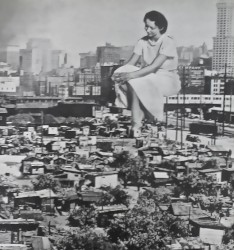 Last Train Out of Dogtown