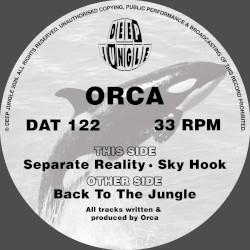 Back to the Jungle / Separate Reality / Sky Hook