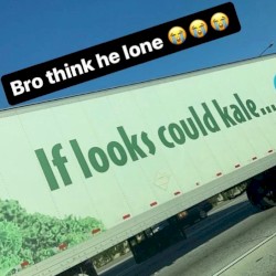 if looks could kale 🥗